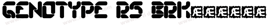 genotype RS BRK字体转换
